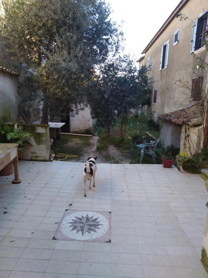 Casa Vacanza Zia Ersilia Rotondi Exterior photo